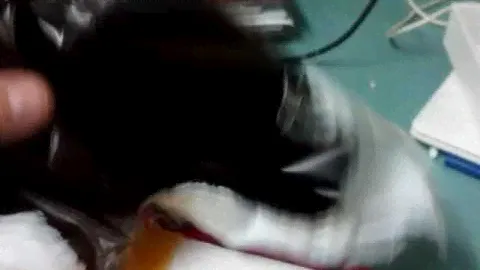 ZTE L370. Unpacking. Video #2.