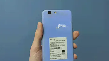 ZTE Z10