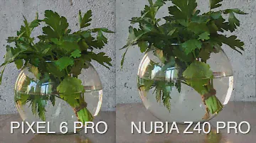Итоги голосования / Pixel 6 Pro vs Nubia Z40 Pro / Сравнение 11 фото