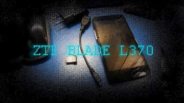 Обзор  [Смартфон ZTE BLADE L370].