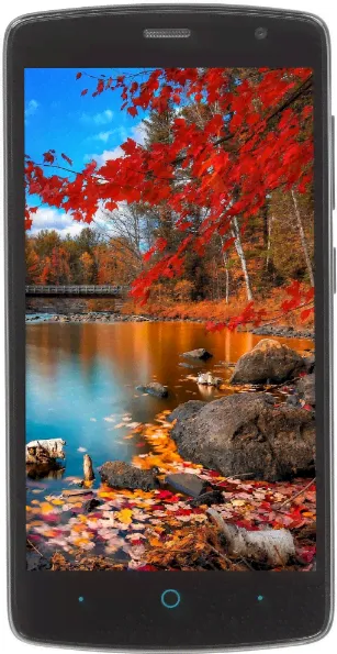 Мобильный телефон ZTE Blade L5